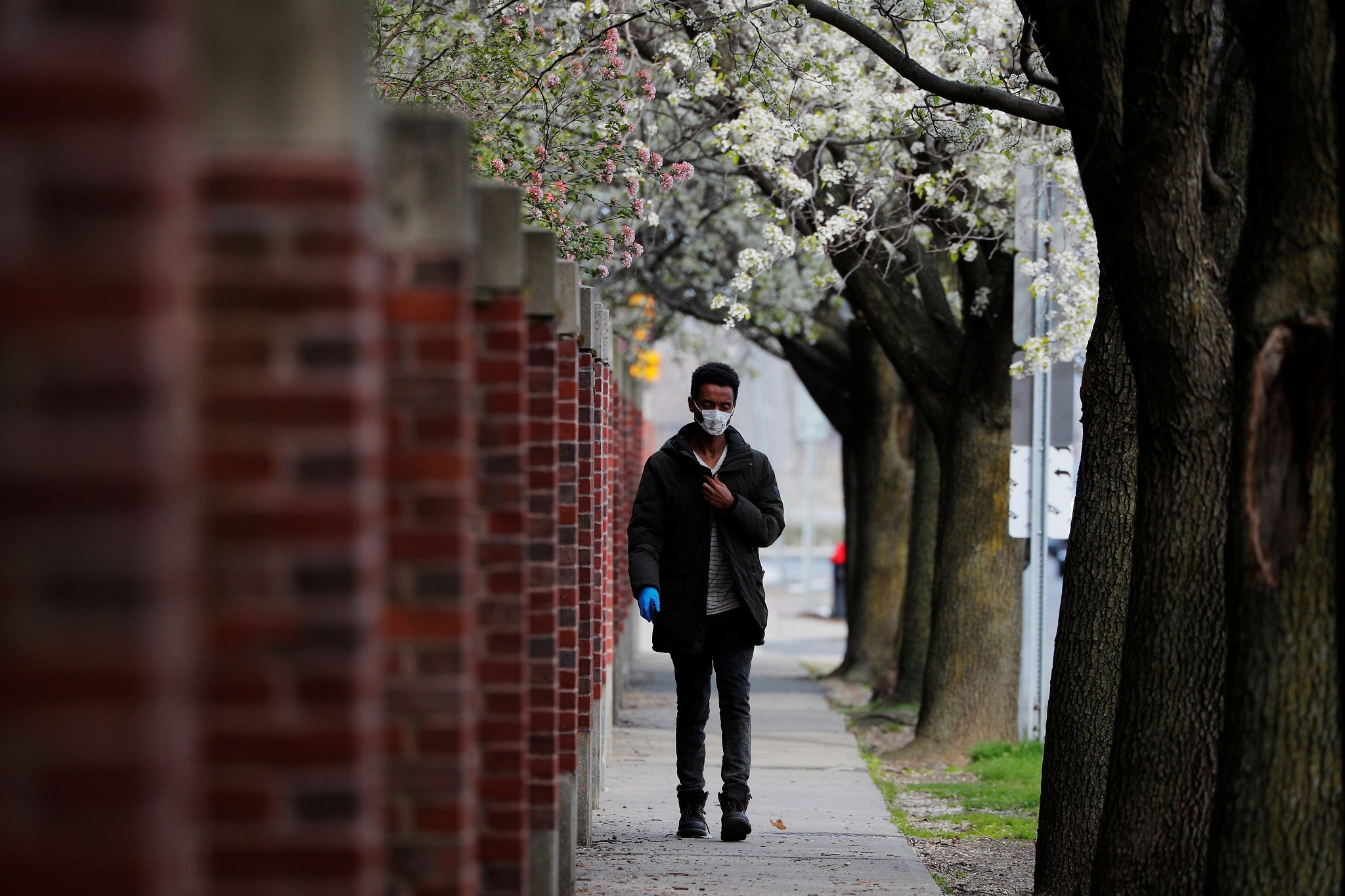 so nguoi chet vi virus tai my anh 1