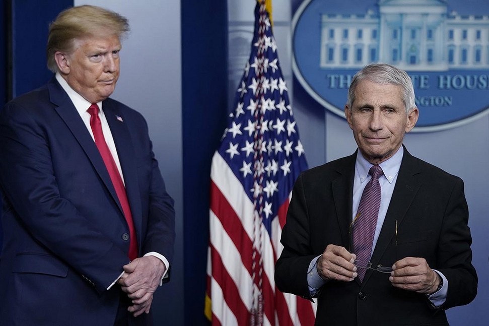 ong trump toi trai david anh 2