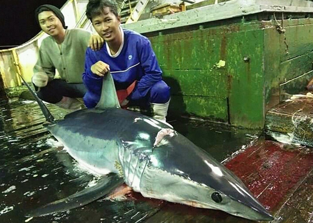 Ngu dan Indonesia ke lai canh 'dia nguc' tren tau ca TQ hinh anh