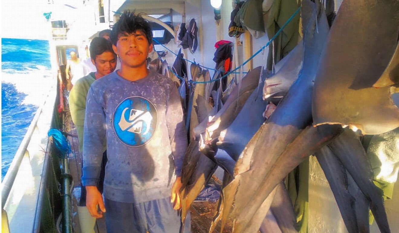 indonesia nho lhw can thiep anh 1