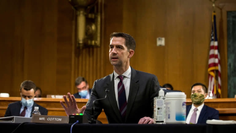 ngoi sao chinh tri thoi hau trump anh 3