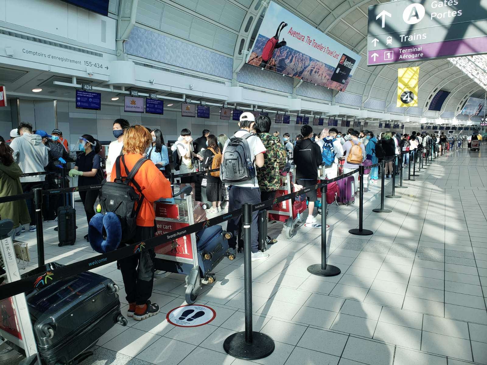 Dua 343 cong dan Viet Nam o Canada ve nuoc hinh anh