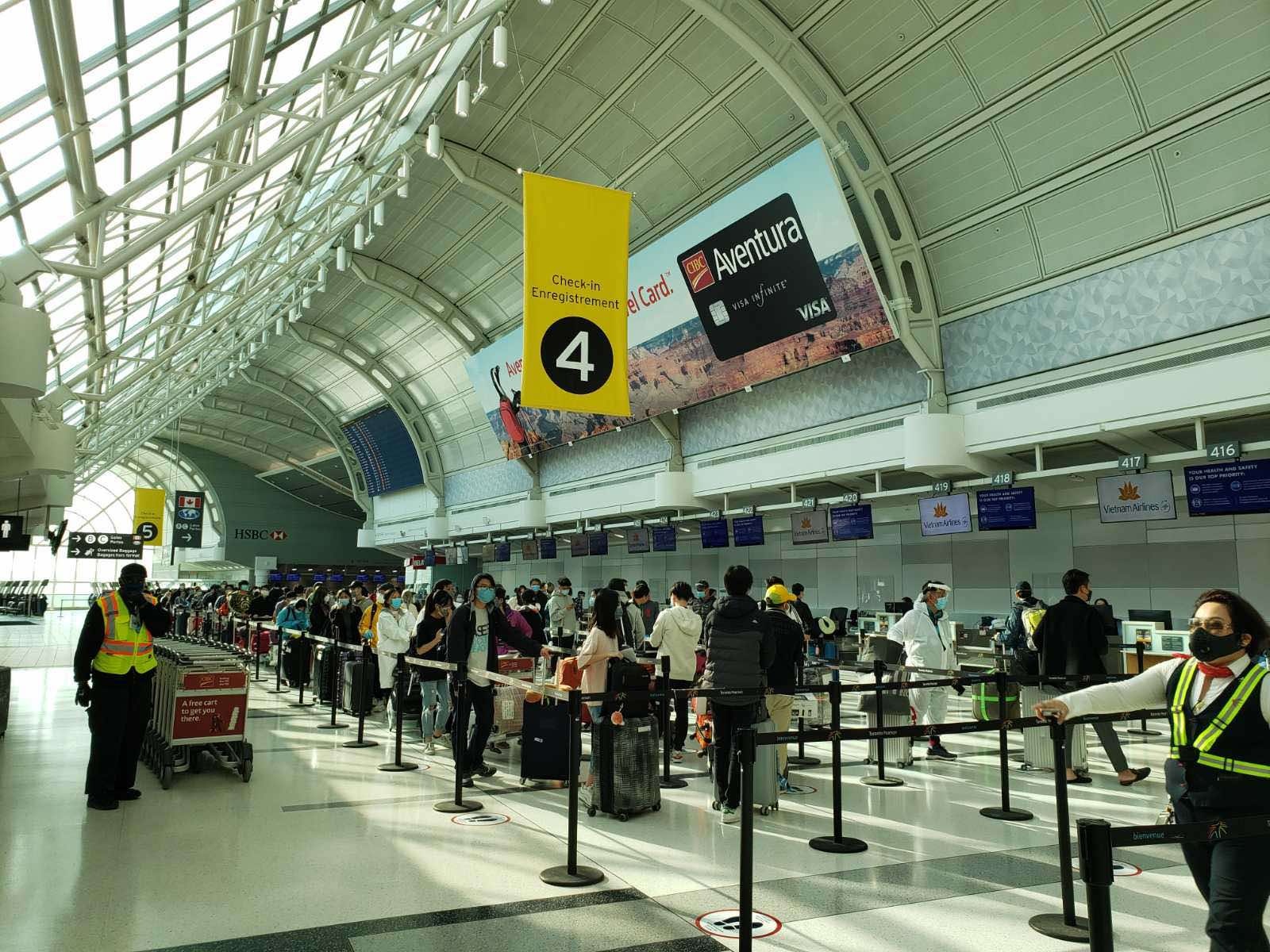 dua cong dan viet o canada ve nuoc anh 1