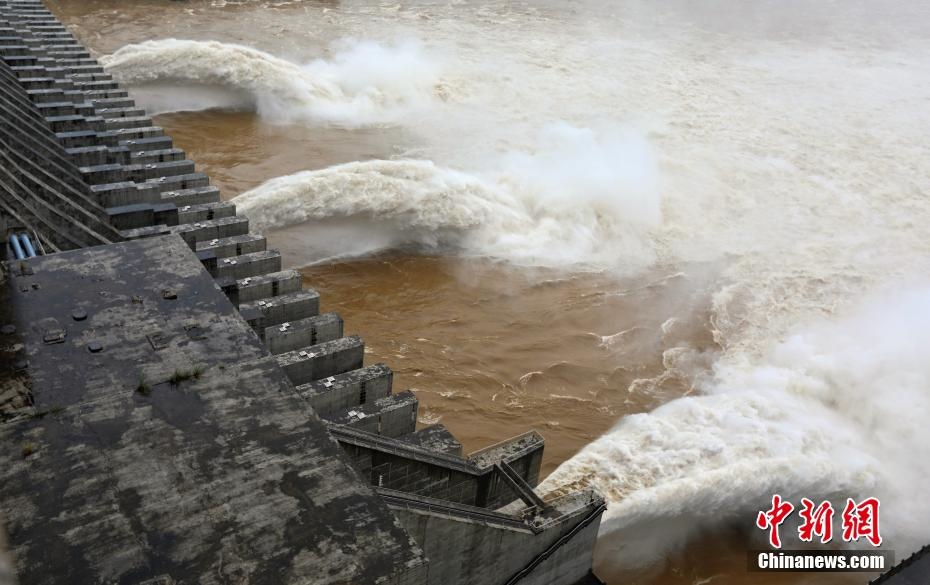 song truong giang don lu so 1 anh 4