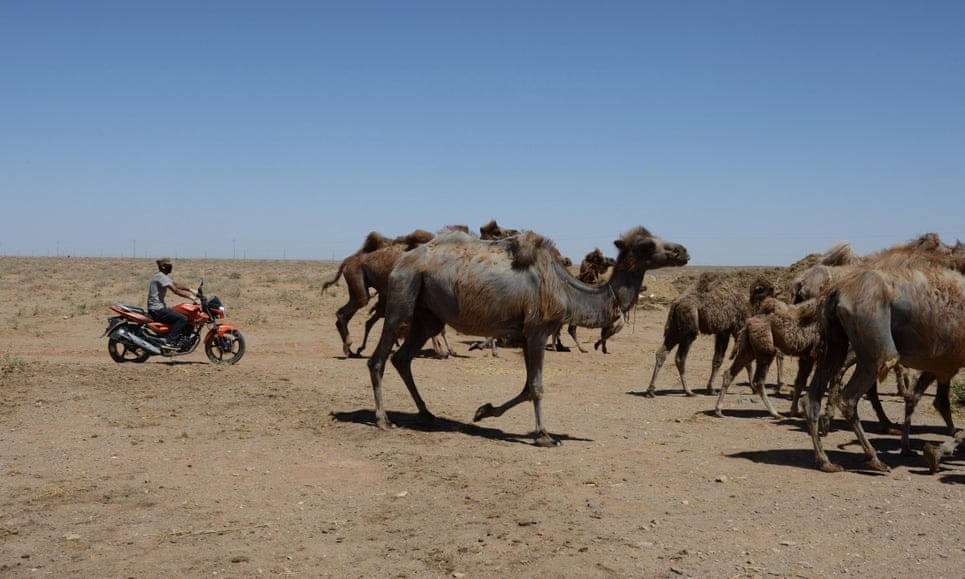 xuat hien nguoi nghi mac dich hach o trung quoc anh 1