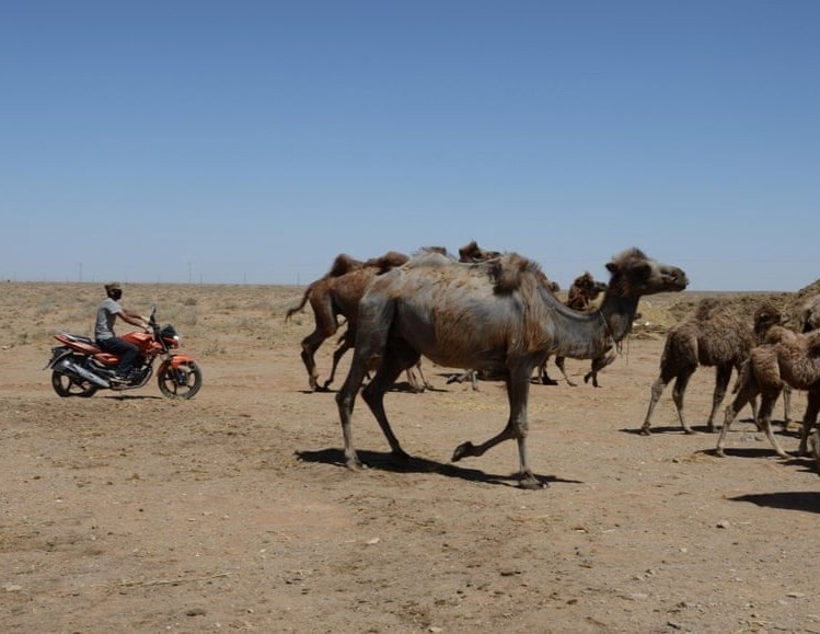 Thanh pho cua Trung Quoc phat canh bao sau ca nghi mac dich hach hinh anh