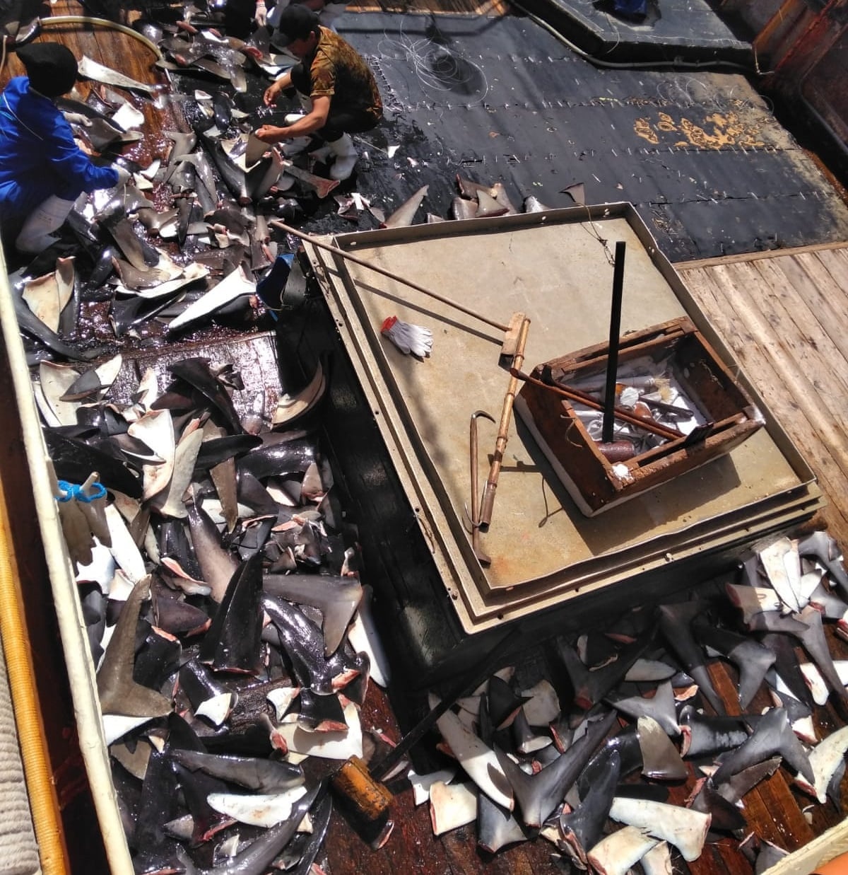 nhung ngay cuoi doi cua thuyen vien indonesia bi vut xac xuong bien anh 1