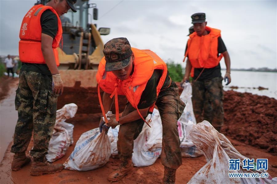 vo de o giang tay anh 1