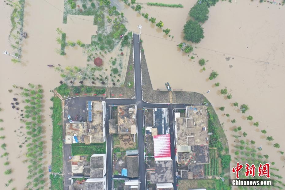 nguy co lu o song hoai anh 8