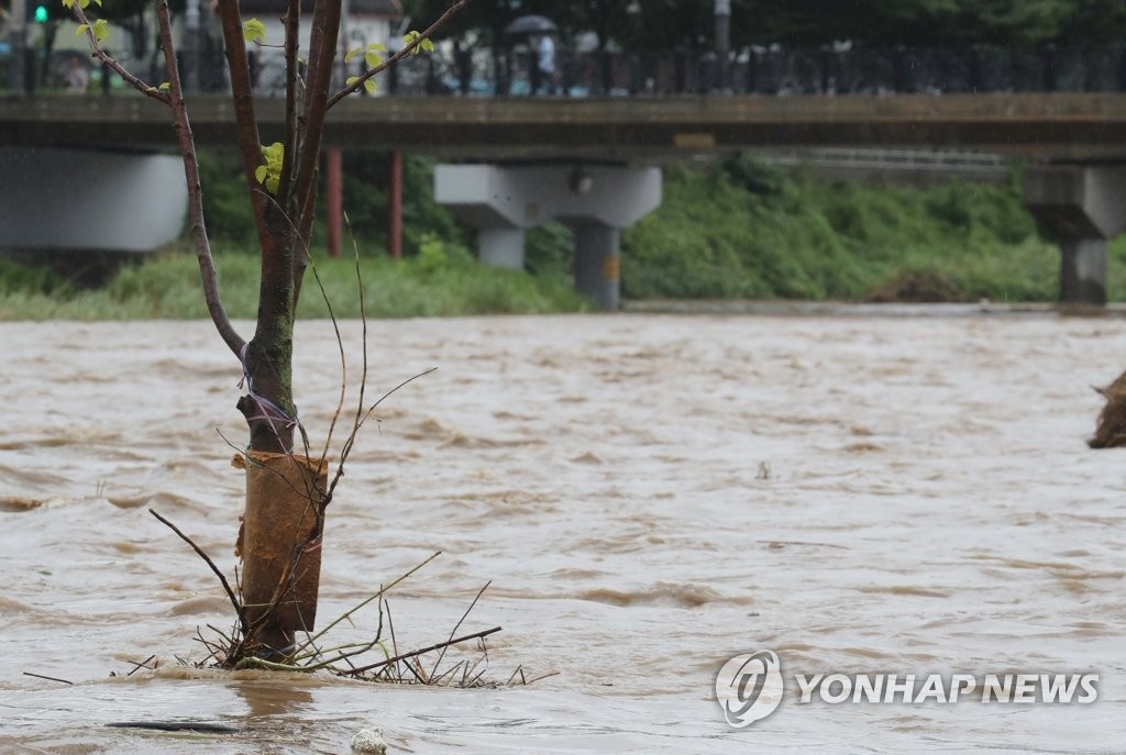xe hoi boi giua bien nuoc o han quoc anh 12