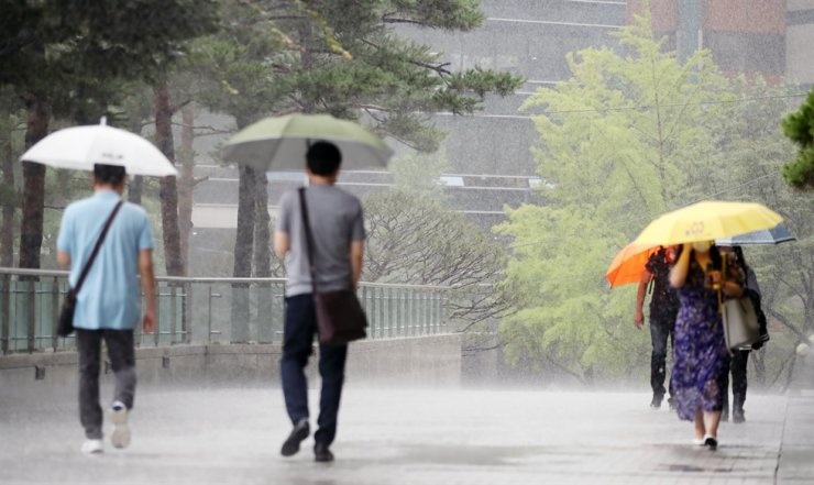 xe hoi boi giua bien nuoc o han quoc anh 10