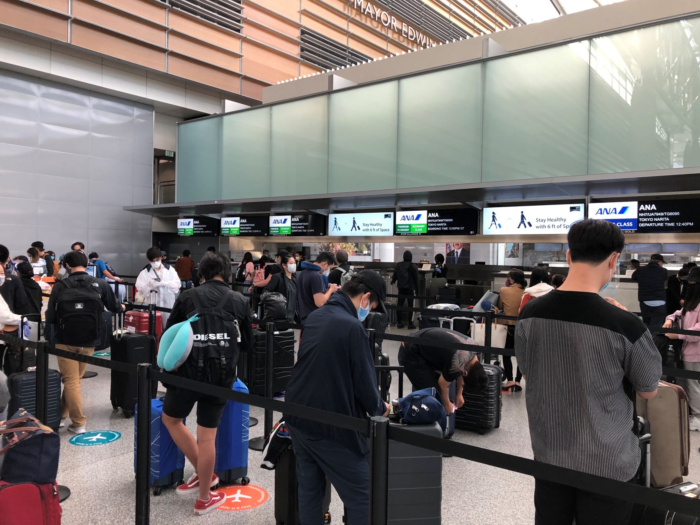 Dua gan 300 cong dan Viet Nam tu My va Nhat Ban ve nuoc hinh anh