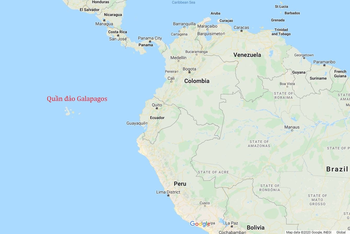 my len an tau ca trung quoc danh bat cuop boc anh 2