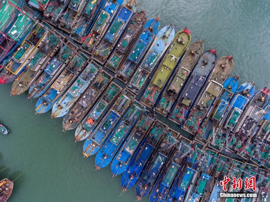 bao higos do bo trung quoc anh 13