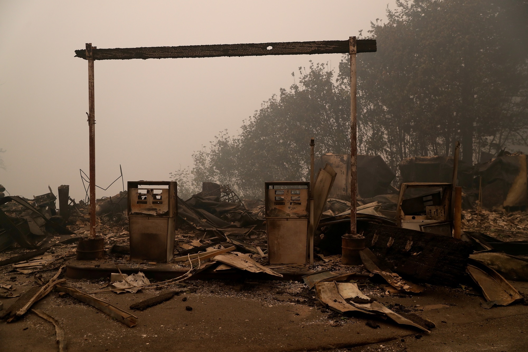 canh tan the vi chay rung o bo tay my anh 12