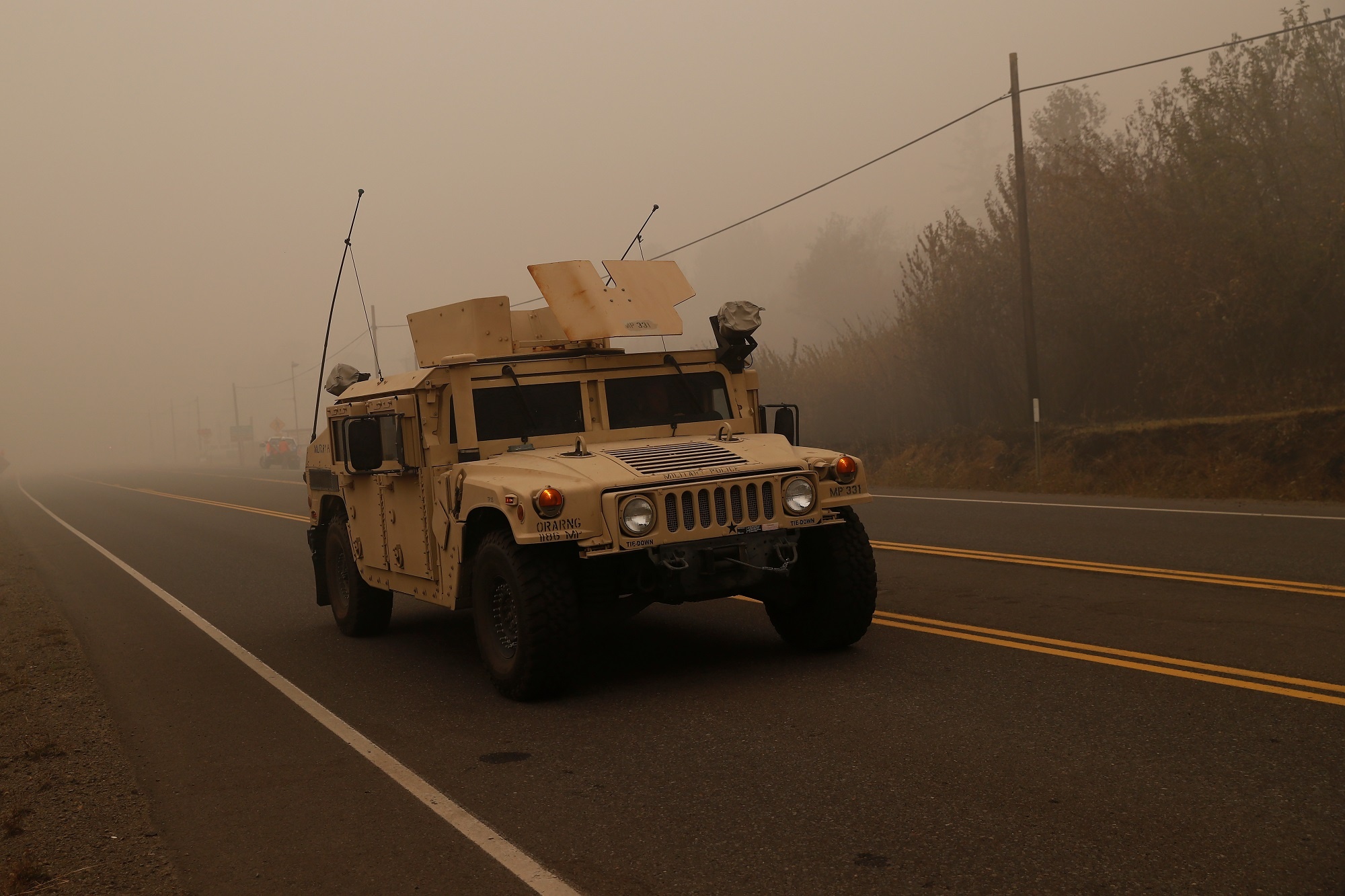 canh tan the vi chay rung o bo tay my anh 14