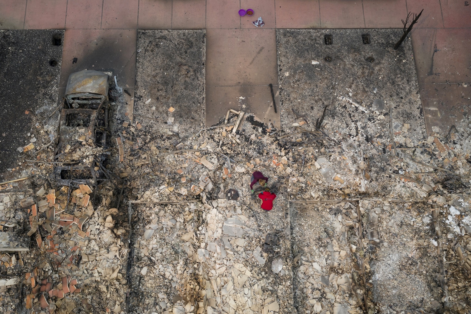 canh tan the vi chay rung o bo tay my anh 10