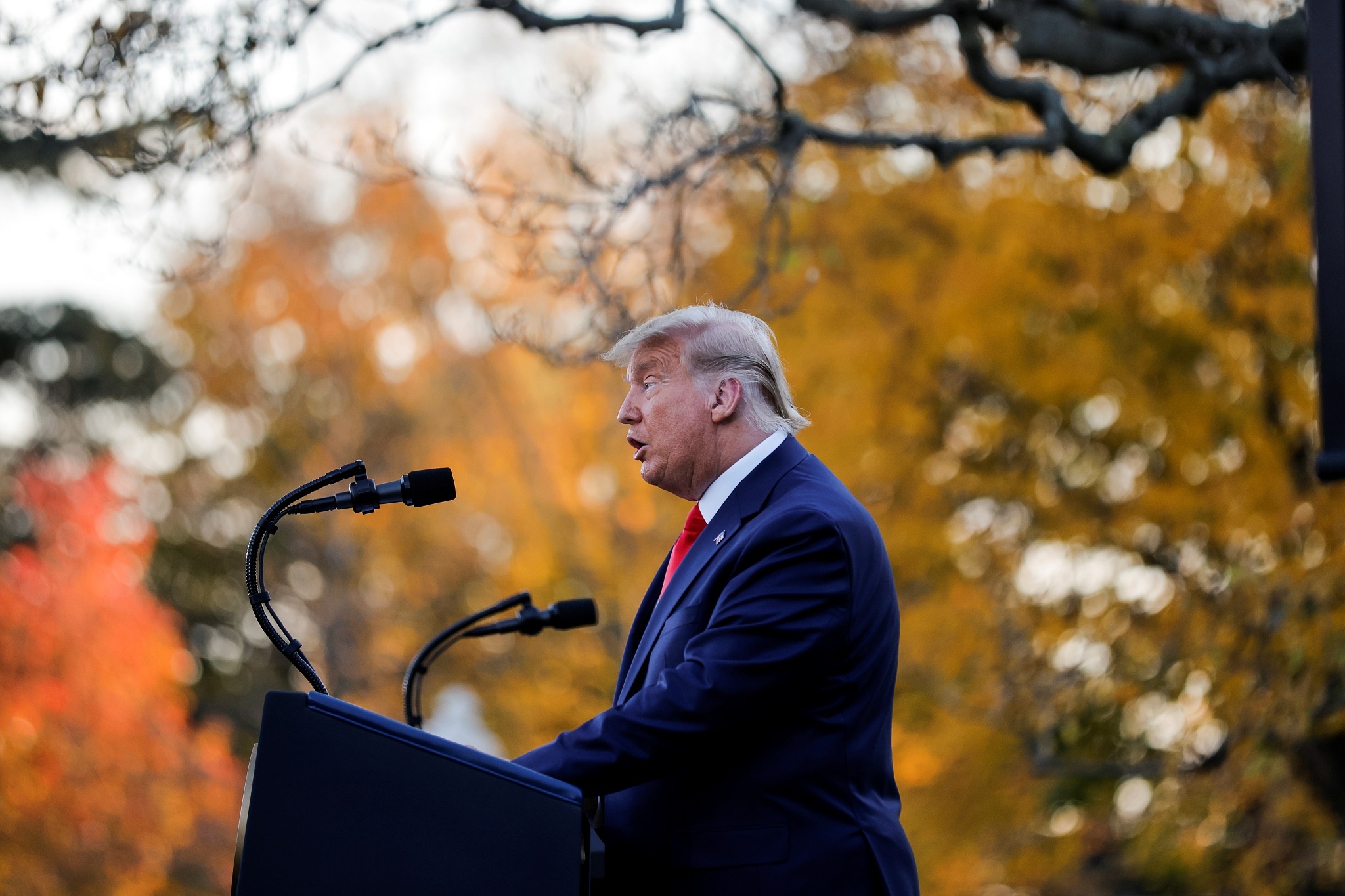 trump hop bao o vuon hong anh 5