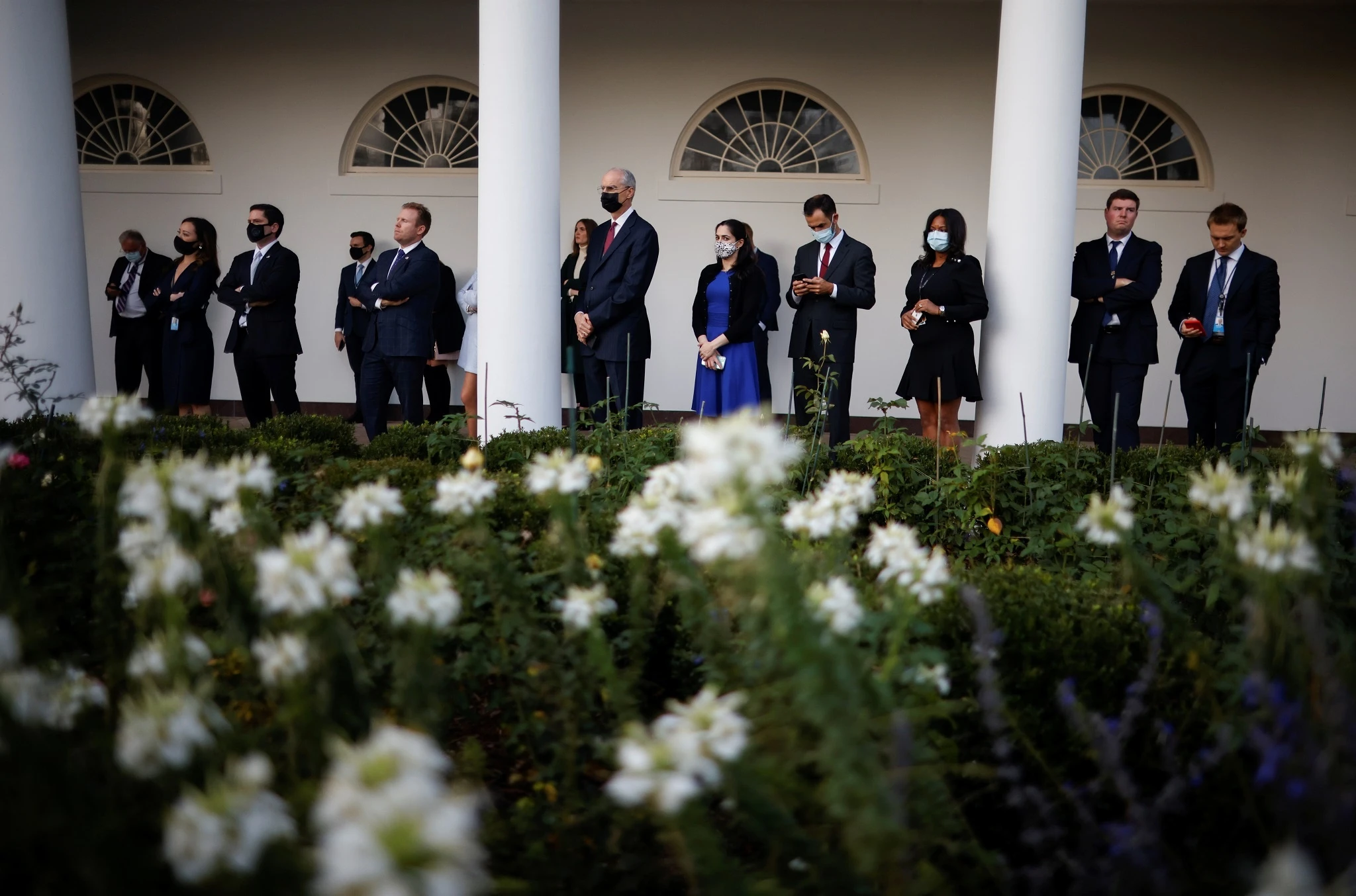 trump hop bao o vuon hong anh 7