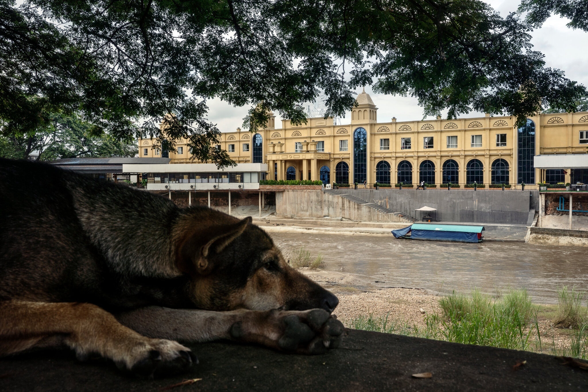 Vuot bien trai phep bung phat Covid-19 Dong Nam A anh 4