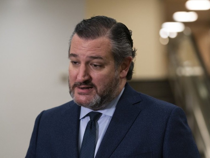 Ong Ted Cruz di du lich luc dan Texas vat lon voi bao tuyet hinh anh