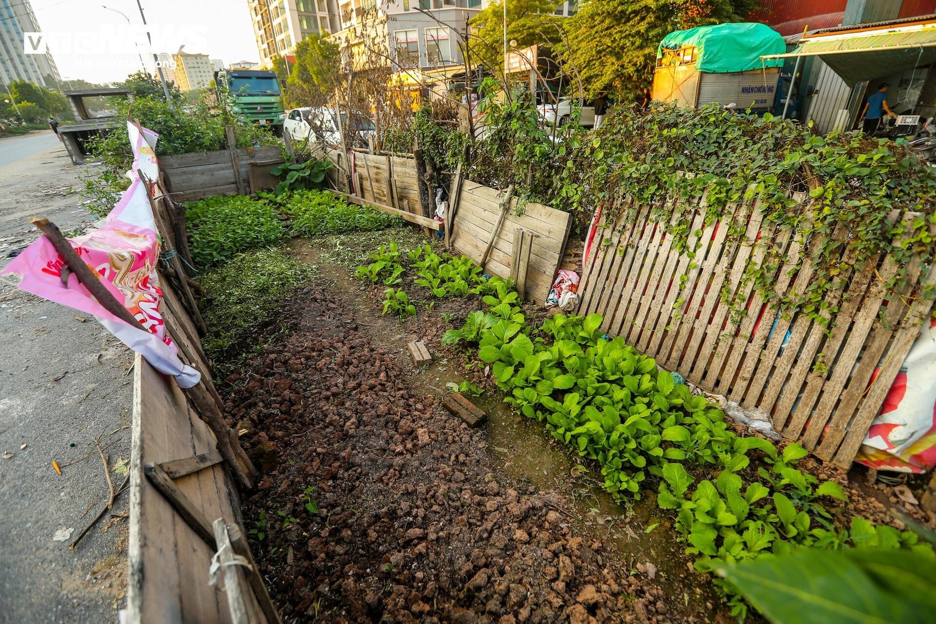 Tap ket rac thai anh 11