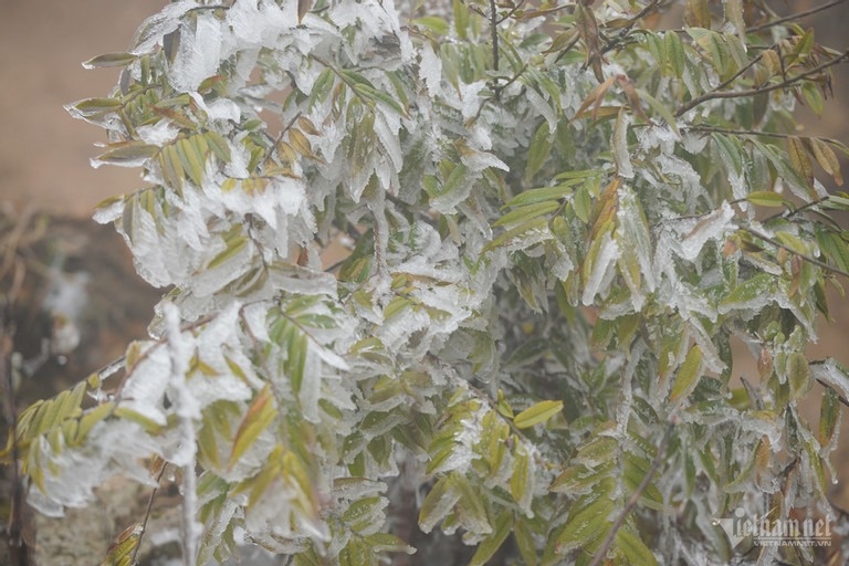 tin du bao thoi tiet anh 1