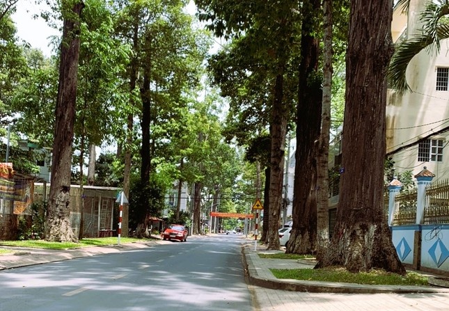 Tra Vinh chap thuan dau tu du an khu do thi hon 3.000 ty dong hinh anh