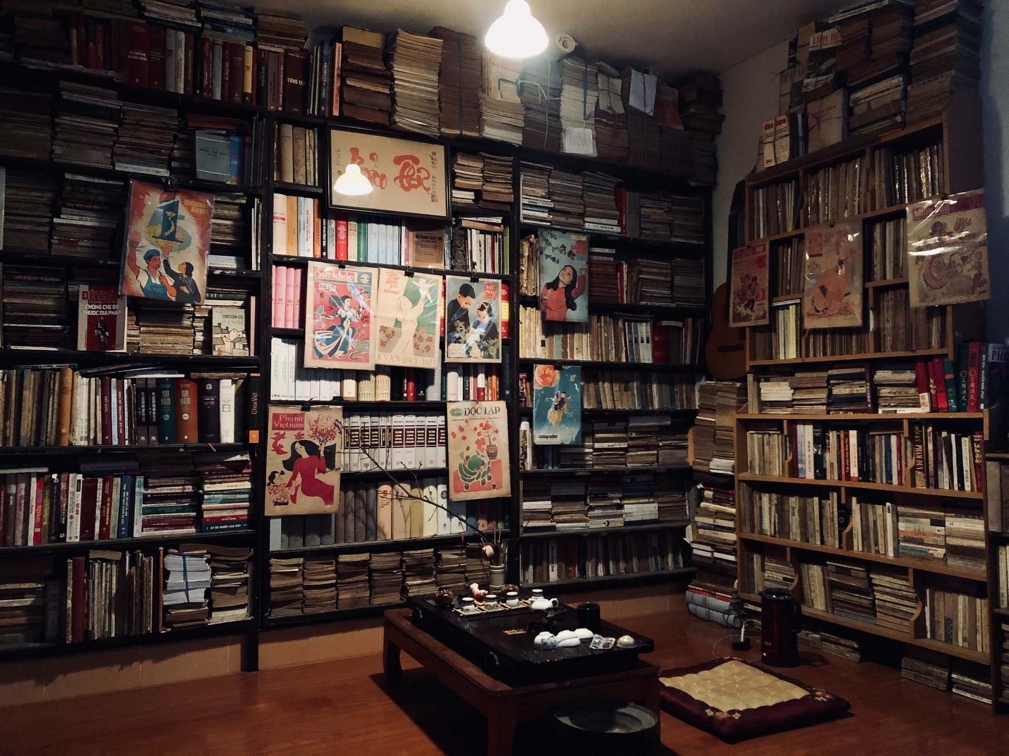 Tang thu doc la cua Ta Thu Phong hinh anh