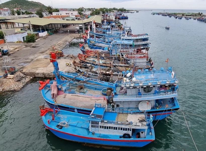 Cac dia phuong chu dong ung pho voi dien bien cua ap thap nhiet doi hinh anh