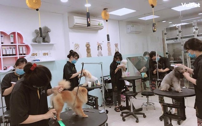 Bo Nong nghiep noi ve de xuat thanh lap Hiep hoi cat tia long thu cung hinh anh