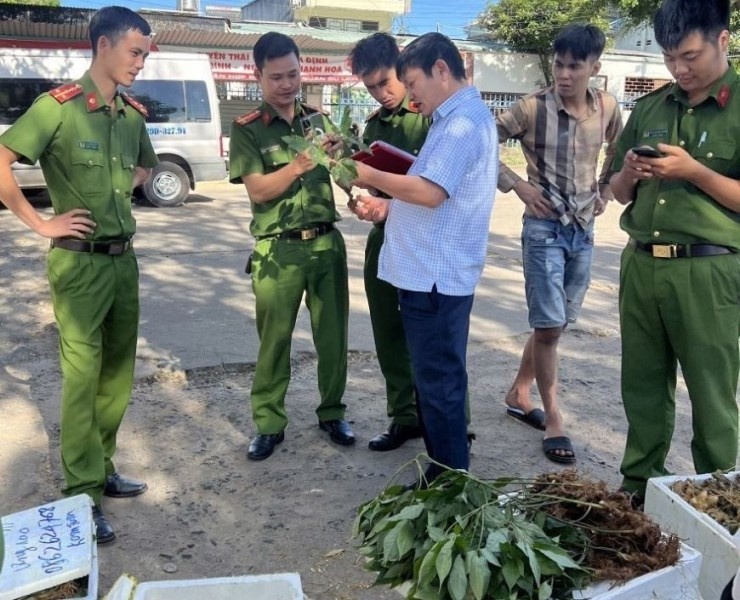 Thu giu 40 kg hang nghi gia sam Ngoc Linh bi 'bo quen' tai ben xe hinh anh
