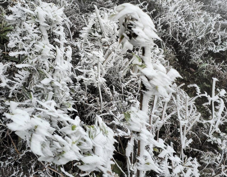 Thoi tiet ngay 23/12: Nhiet do xuong thap, troi ret dam ret hai hinh anh