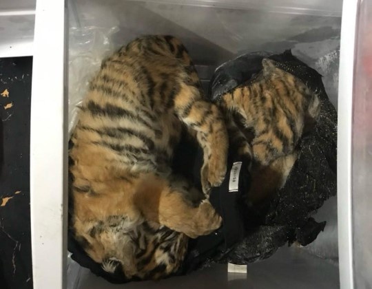 Nguoi dan ong tang tru 5 ca the ho o Ha Tinh hinh anh