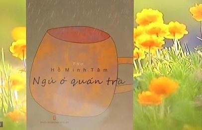 Ngu o quan tra hinh anh