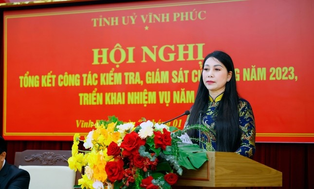 Vinh Phuc thi hanh ky luat 4 to chuc Dang, 192 dang vien trong mot nam hinh anh