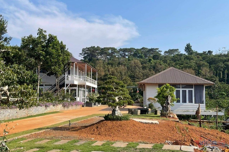 Tam dinh chi cong tac pho chu tich thi tran va hai can bo o Dak Nong hinh anh