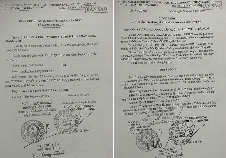 cap bo giong cho dan anh 1