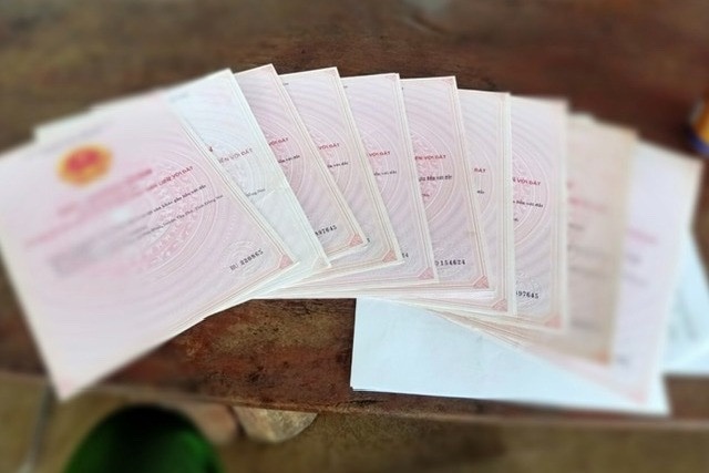 Nguoi phu nu dung 19 'so do' gia vay 10 ty dong hinh anh