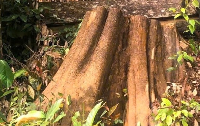 Bị khởi tố ảnh 1 Bi khoi to anh 1