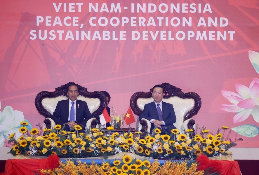 Viet Nam - Indonesia anh 1