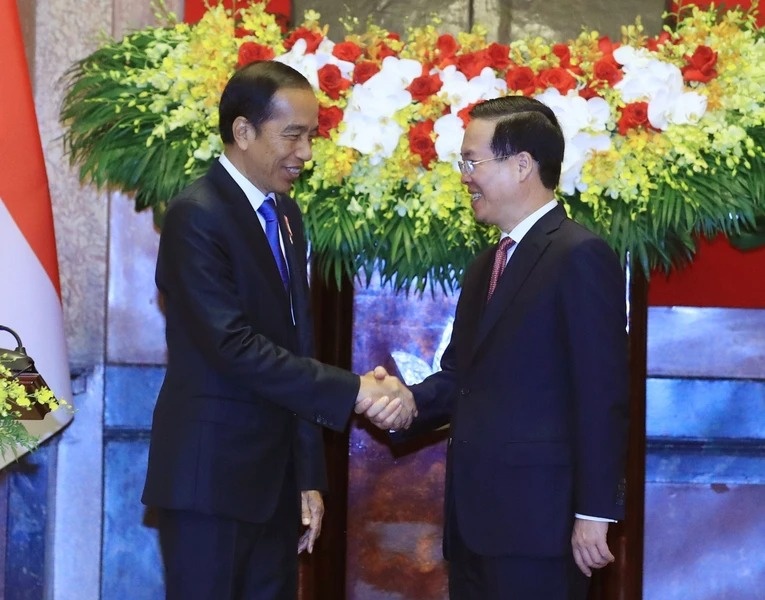 Chu tich nuoc Vo Van Thuong hoi dam voi Tong thong Indonesia hinh anh