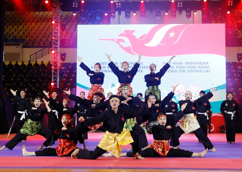 Viet Nam - Indonesia anh 3