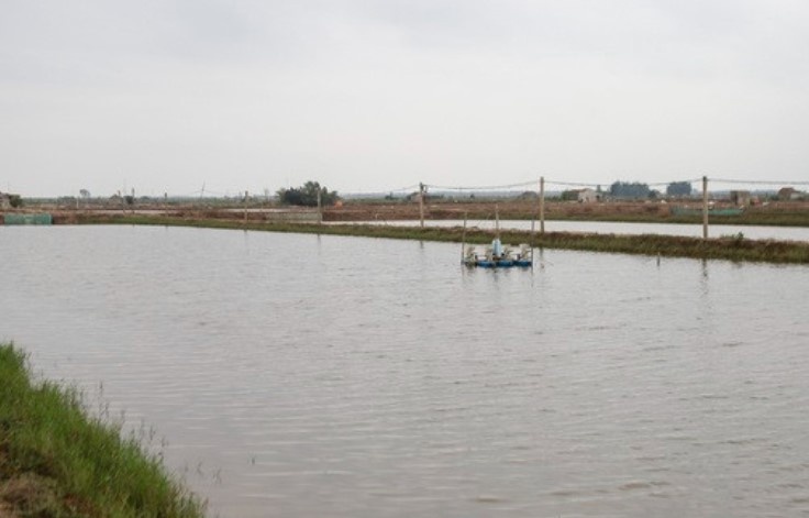 Nam Dinh se ngung cap dien, nuoc tai khu vuc Con Xanh de thu hoi dat hinh anh