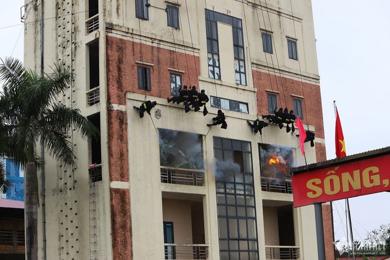 gin giu hoa binh anh 2