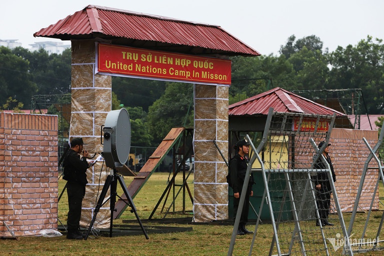 gin giu hoa binh anh 3