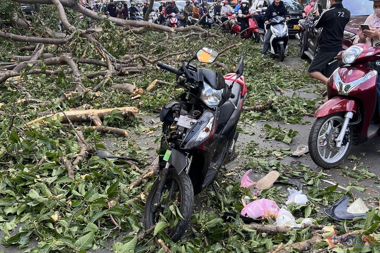 Cay da tram tuoi gay do de trung co gai chay xe may hinh anh