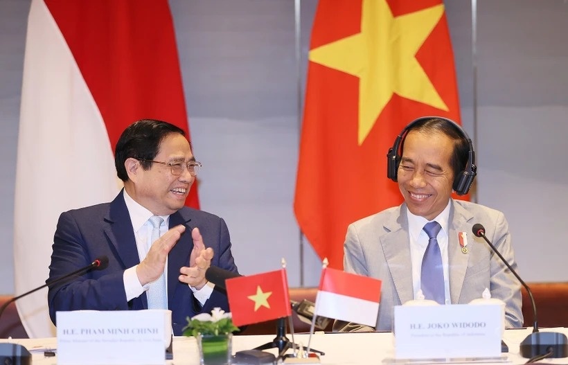 Tong thong Indonesia ket thuc tot dep chuyen tham cap Nha nuoc toi VN hinh anh