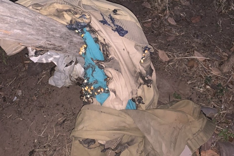 chay bat thuong anh 2