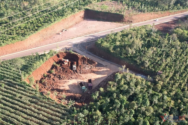 Phat chu dat muc ca qua doi o Dak Lak mang di ban hinh anh